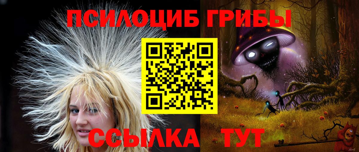 Псилоцибиновые грибы Psilocybe Крымск